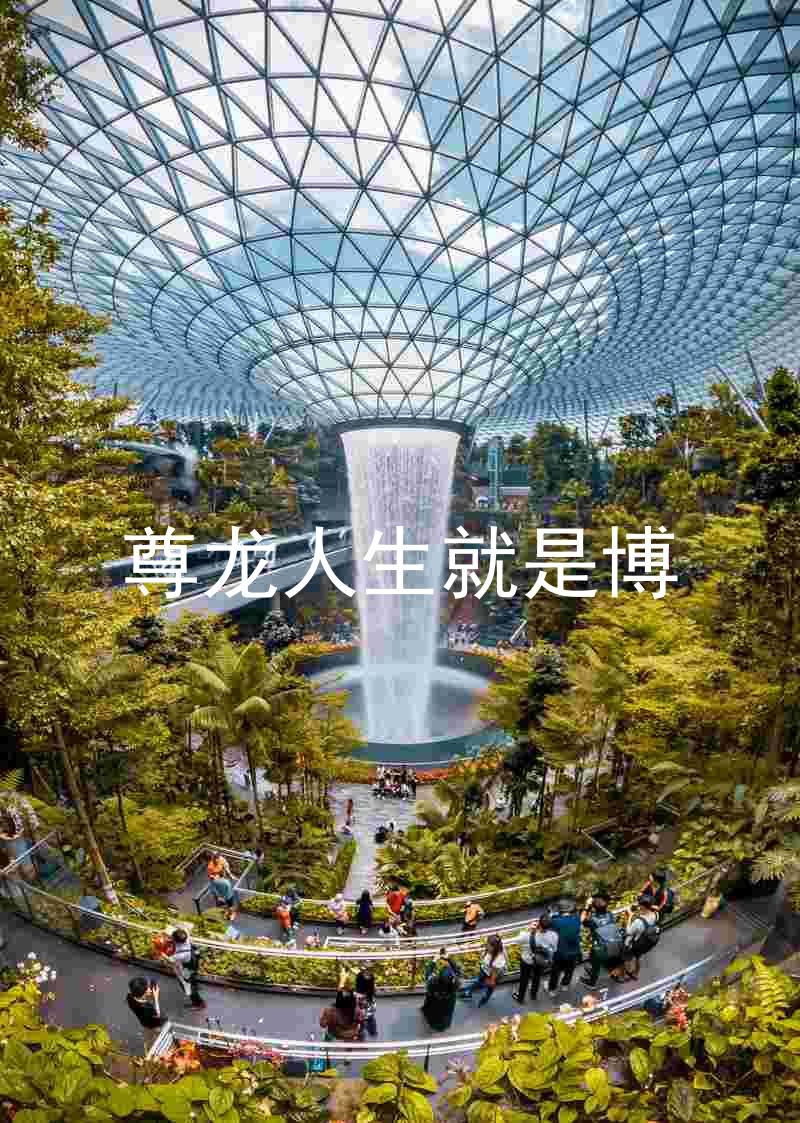 尊龙人生就是博