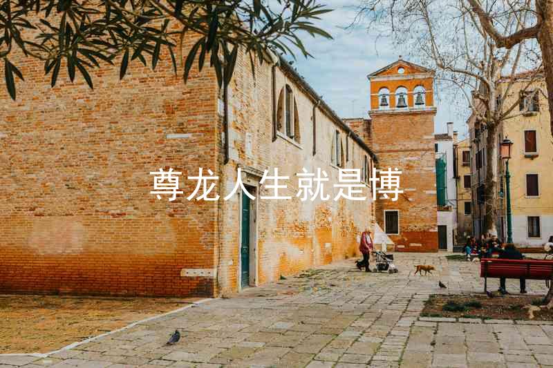 尊龙人生就是博