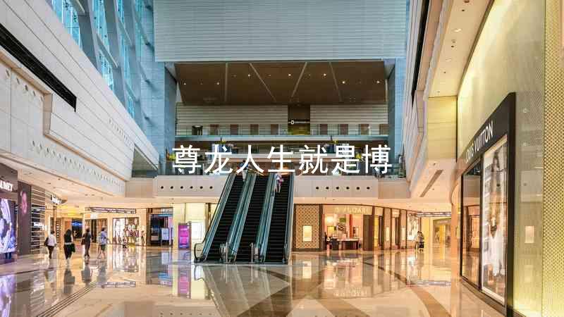尊龙人生就是博